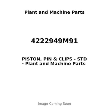 4222949M91 - PISTON, PIN & CLIPS - STD