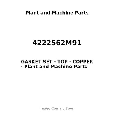 4222562M91 - GASKET SET - TOP - COPPER