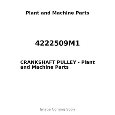 4222509M1 - CRANKSHAFT PULLEY