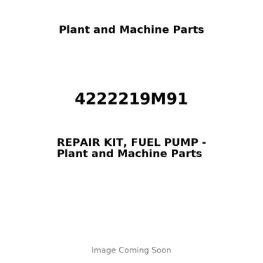 4222219M91 - REPAIR KIT, FUEL PUMP