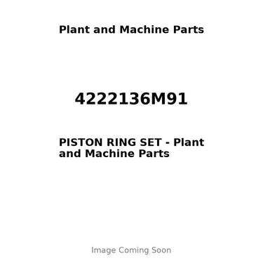 4222136M91 - PISTON RING SET