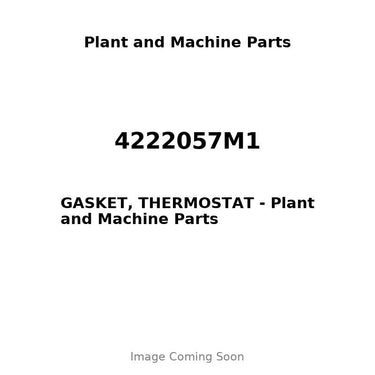 4222057M1 - GASKET, THERMOSTAT