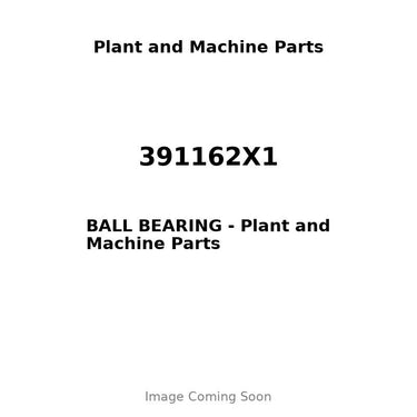 391162X1 - BALL BEARING