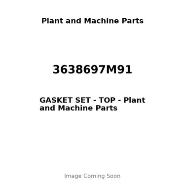 3638697M91 - GASKET SET - TOP