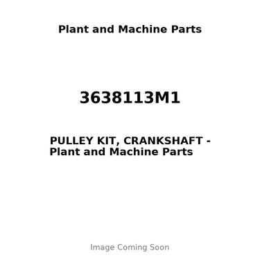 3638113M1 - PULLEY KIT, CRANKSHAFT