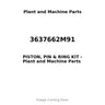 3637662M91 - PISTON, PIN & RING KIT
