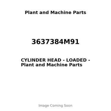 3637384M91 - CYLINDER HEAD - LOADED