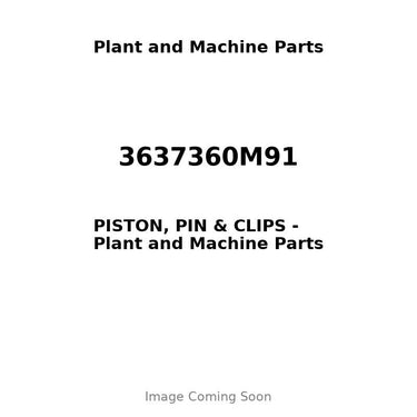 3637360M91 - PISTON, PIN & CLIPS
