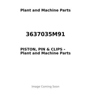 3637035M91 - PISTON, PIN & CLIPS