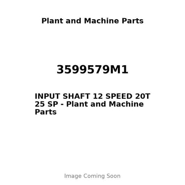 3599579M1 - INPUT SHAFT 12 SPEED 20T 25 SP
