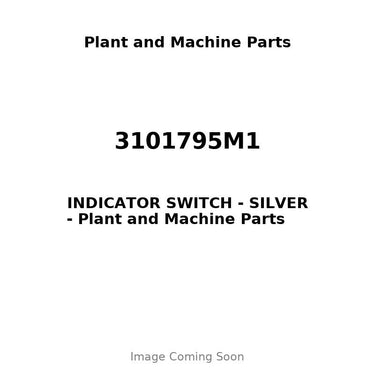 3101795M1 - INDICATOR SWITCH - SILVER