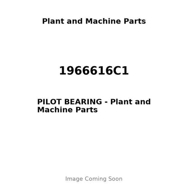 1966616C1 - PILOT BEARING