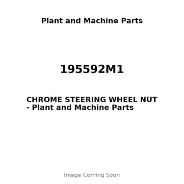 195592M1 - CHROME STEERING WHEEL NUT