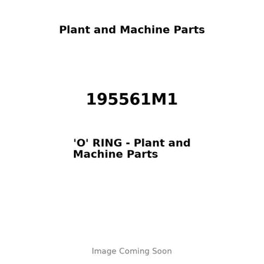 195561M1 - 'O' RING