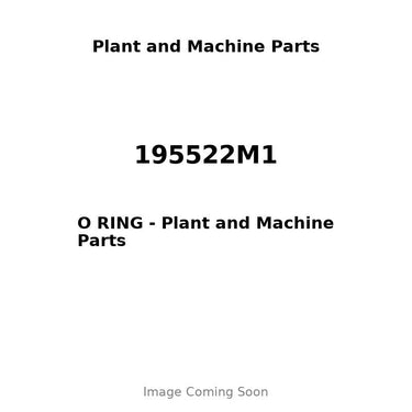 195522M1 - O RING