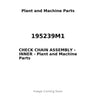 195239M1 - CHECK CHAIN ASSEMBLY - INNER