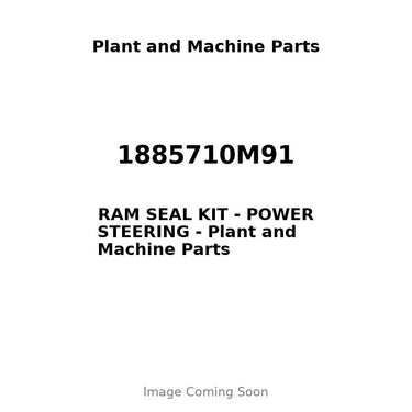 1885710M91 - RAM SEAL KIT - POWER STEERING