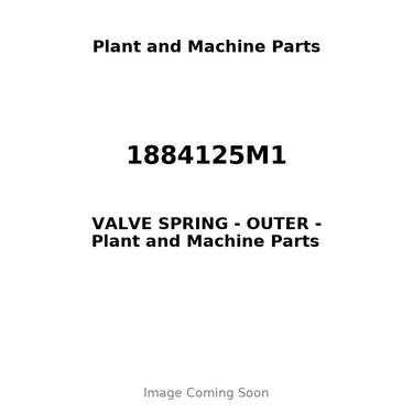 1884125M1 - VALVE SPRING - OUTER