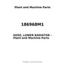 186968M1 - HOSE, LOWER RADIATOR