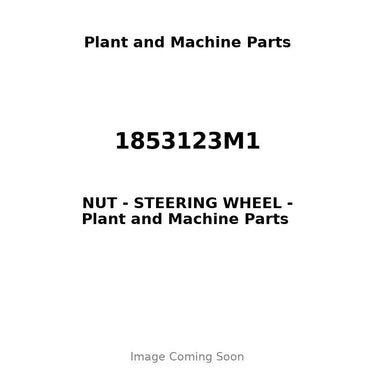 1853123M1 - NUT - STEERING WHEEL