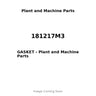 181217M3 - GASKET
