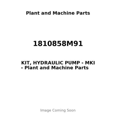 1810858M91 - KIT, HYDRAULIC PUMP - MKI