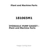 181065M1 - HYDRAULIC PUMP GASKET