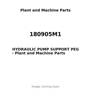 180905M1 - HYDRAULIC PUMP SUPPORT PEG