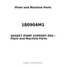 180904M1 - GASKET PUMP SUPPORT PEG