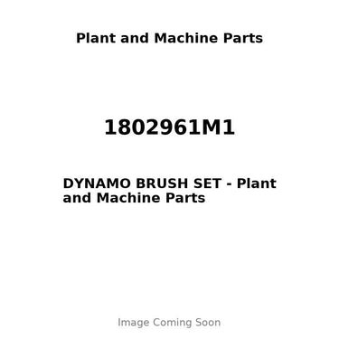 1802961M1 - DYNAMO BRUSH SET