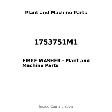 1753751M1 - FIBRE WASHER