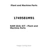 1749581M91 - RAM SEAL KIT