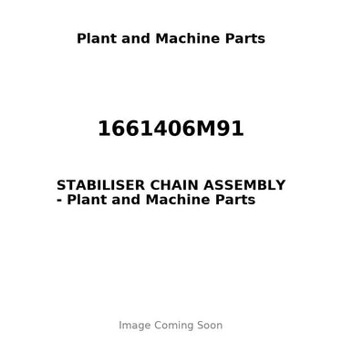 1661406M91 - STABILISER CHAIN ASSEMBLY