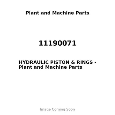 11190071 - HYDRAULIC PISTON & RINGS