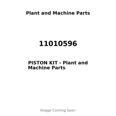 11010596 - PISTON KIT