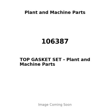106387 - TOP GASKET SET