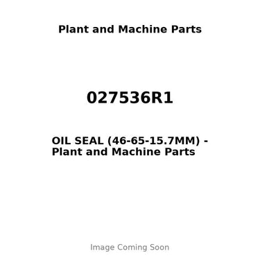 027536R1 - OIL SEAL (46-65-15.7MM)
