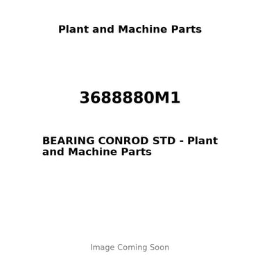 3688880M1 - BEARING CONROD STD