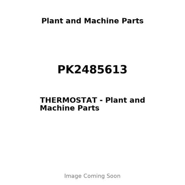 PK2485613 - THERMOSTAT