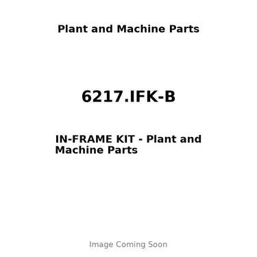 6217.IFK-B - IN-FRAME KIT