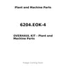 6204.EOK-4 - OVERHAUL KIT