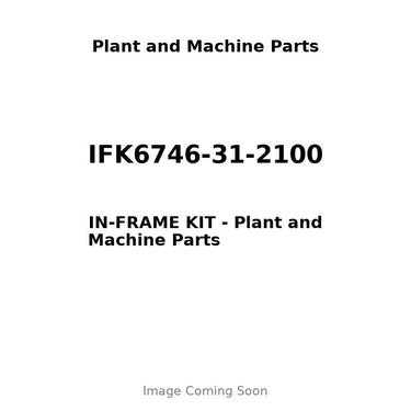 IFK6746-31-2100 - IN-FRAME KIT
