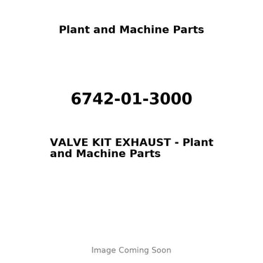6742-01-3000 - VALVE KIT EXHAUST