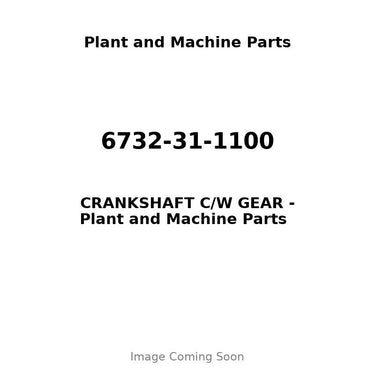 6732-31-1100 - CRANKSHAFT C/W GEAR