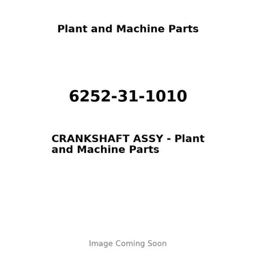 6252-31-1010 - CRANKSHAFT ASSY