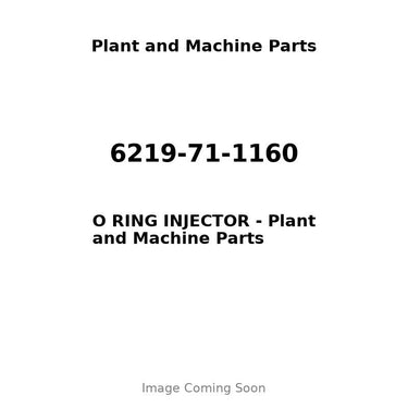6219-71-1160 - O RING INJECTOR