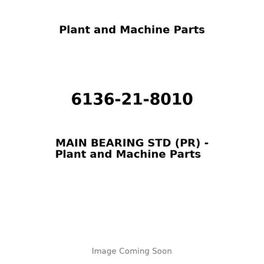 6136-21-8010 - MAIN BEARING STD (PR)