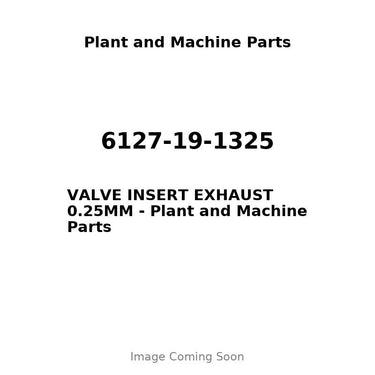 6127-19-1325 - VALVE INSERT EXHAUST 0.25MM