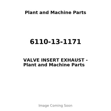 6110-13-1171 - VALVE INSERT EXHAUST
