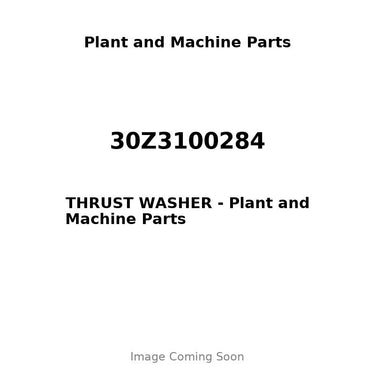 30Z3100284 - THRUST WASHER